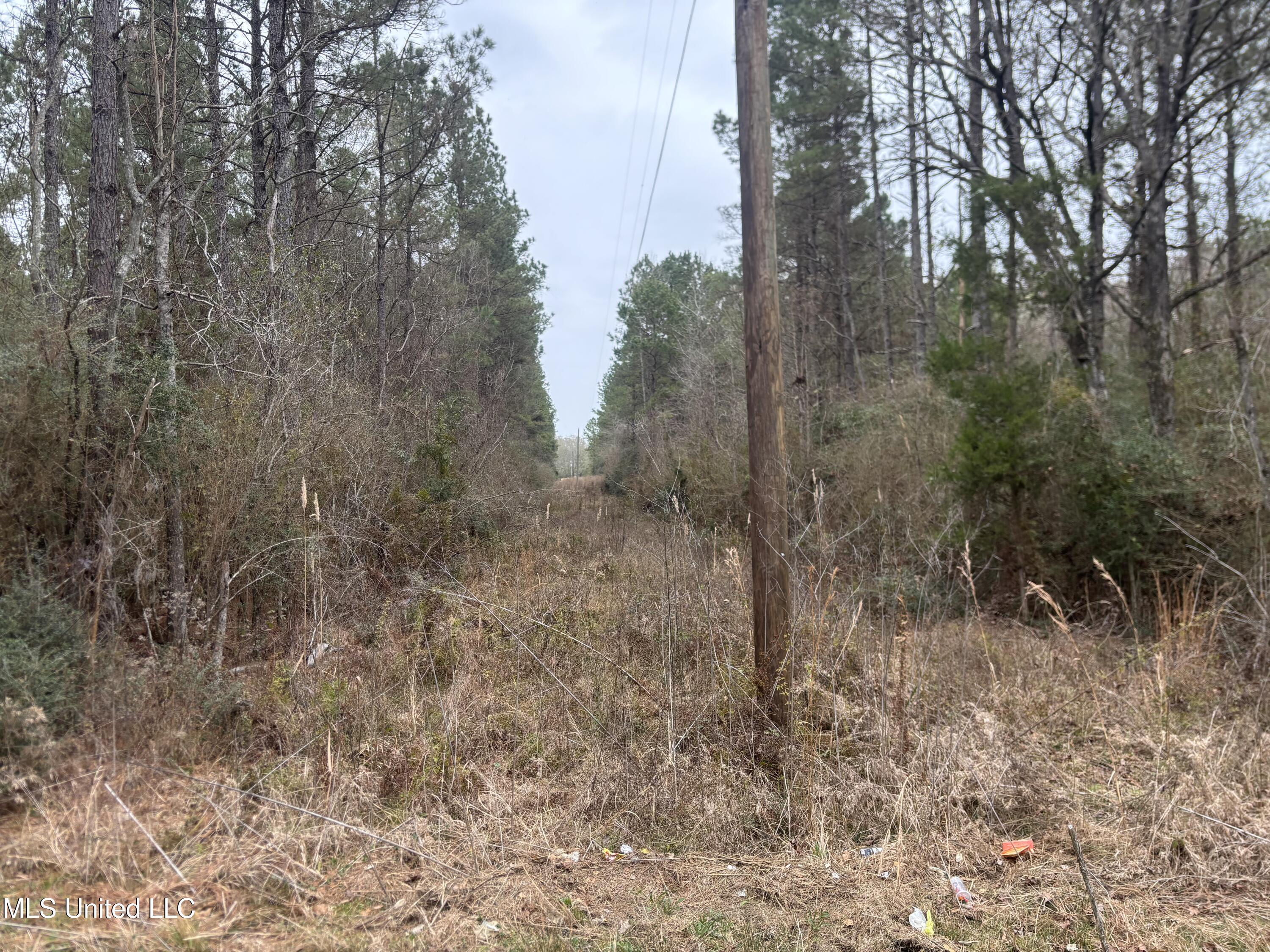 0 Magnolia Progress Road Magnolia, MS 39652 - Photo 5 of 30 IMG_2489