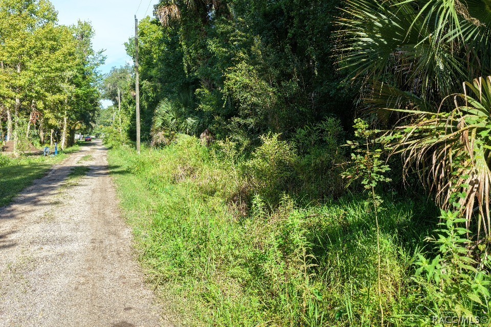 0 Gobbler Road Astor, FL 32102 - Photo 16 of 34 Gallery Image 16