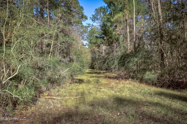 $5,499,000 | 6500 Crump Road, Kiln, MS 39556