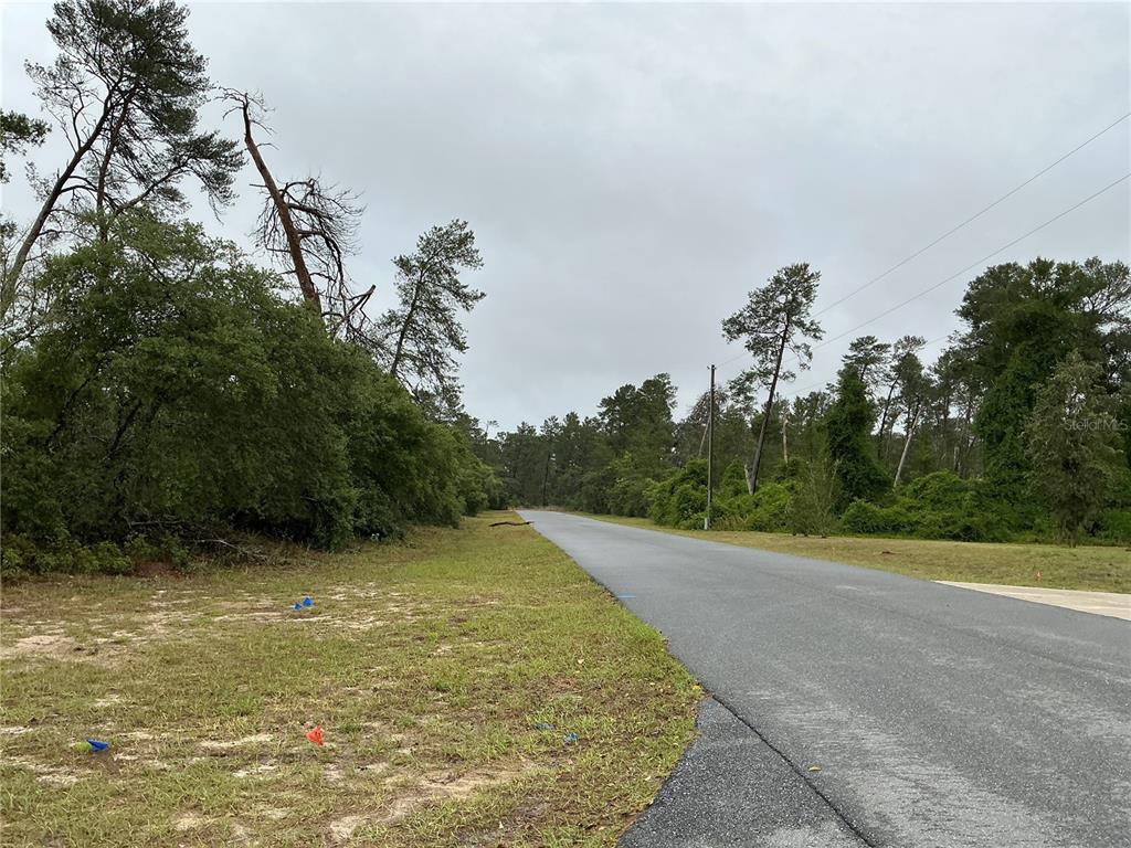 Southwest 20th Court Ocala, FL 34473 - Photo 6 of 8
