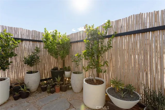 a view of a living room and a potted plant