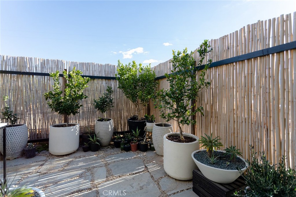7802 Quail Springs Road Joshua Tree, CA 92252 - Photo 39 of 46 a view of a patio with plants and plants