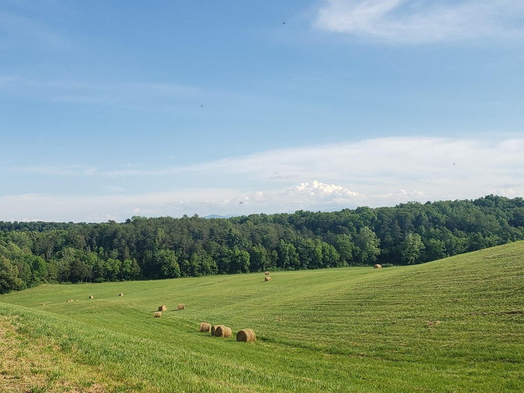 875 Palmer Hollow Road Bybee, TN 37713 - Photo 18 of 25 Gallery Image 18