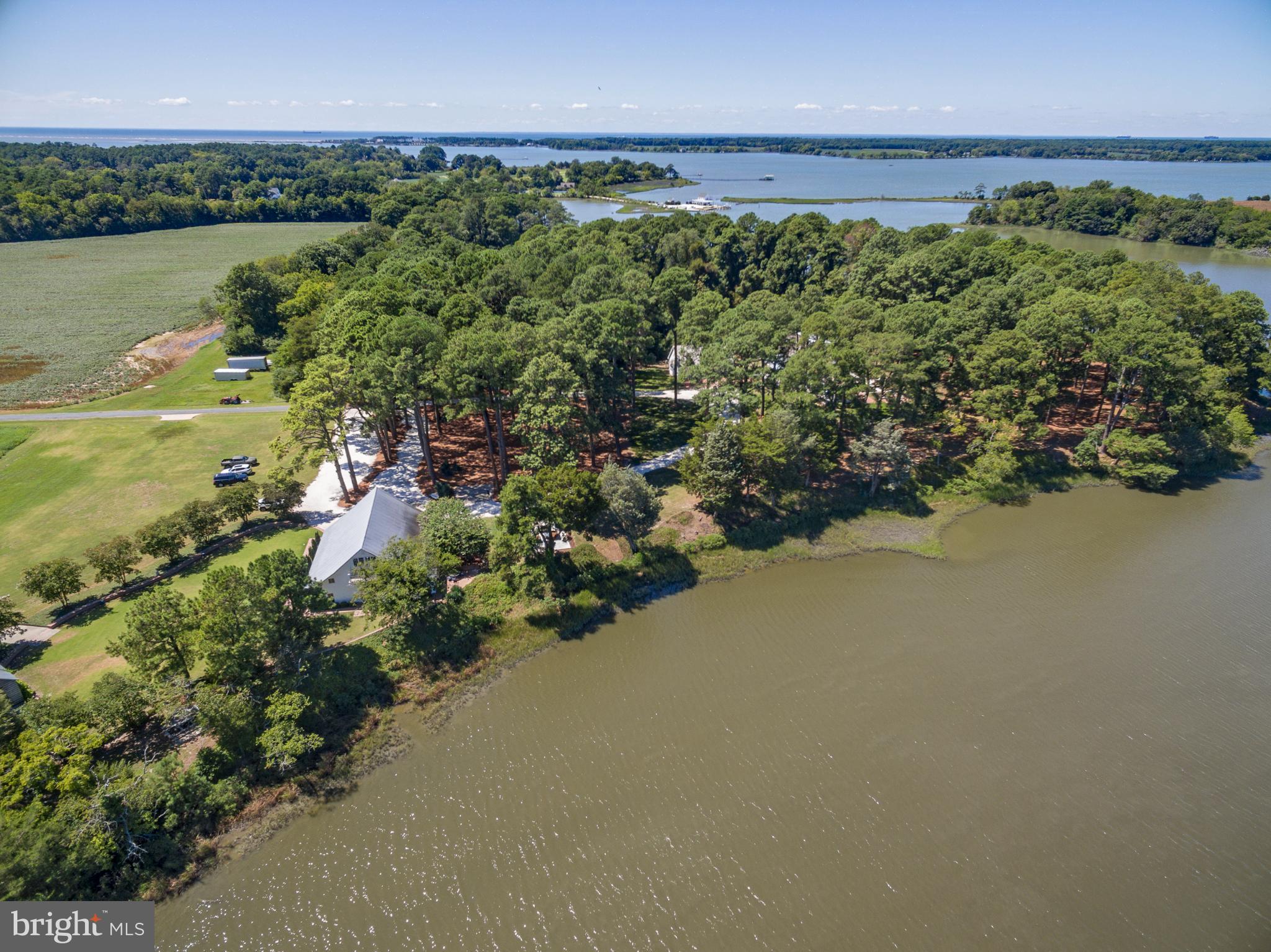20031 Oakland Farm Road Cape Charles, VA 23310 - Photo 93 of 98 Serene lakeside retreat surrounded by nature.