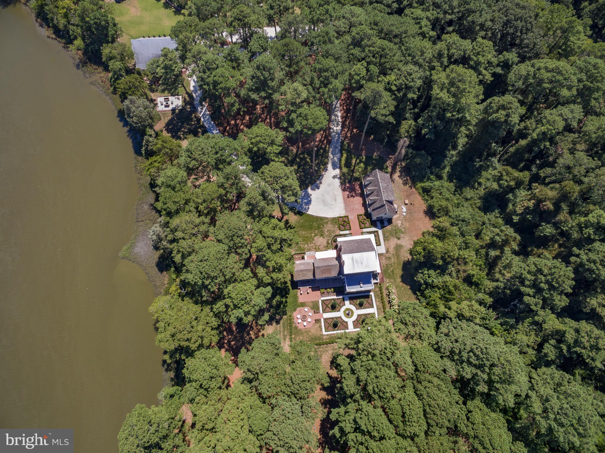 20031 Oakland Farm Road Cape Charles, VA 23310 - Photo 94 of 98 Serene lakeside retreat amidst lush greenery.