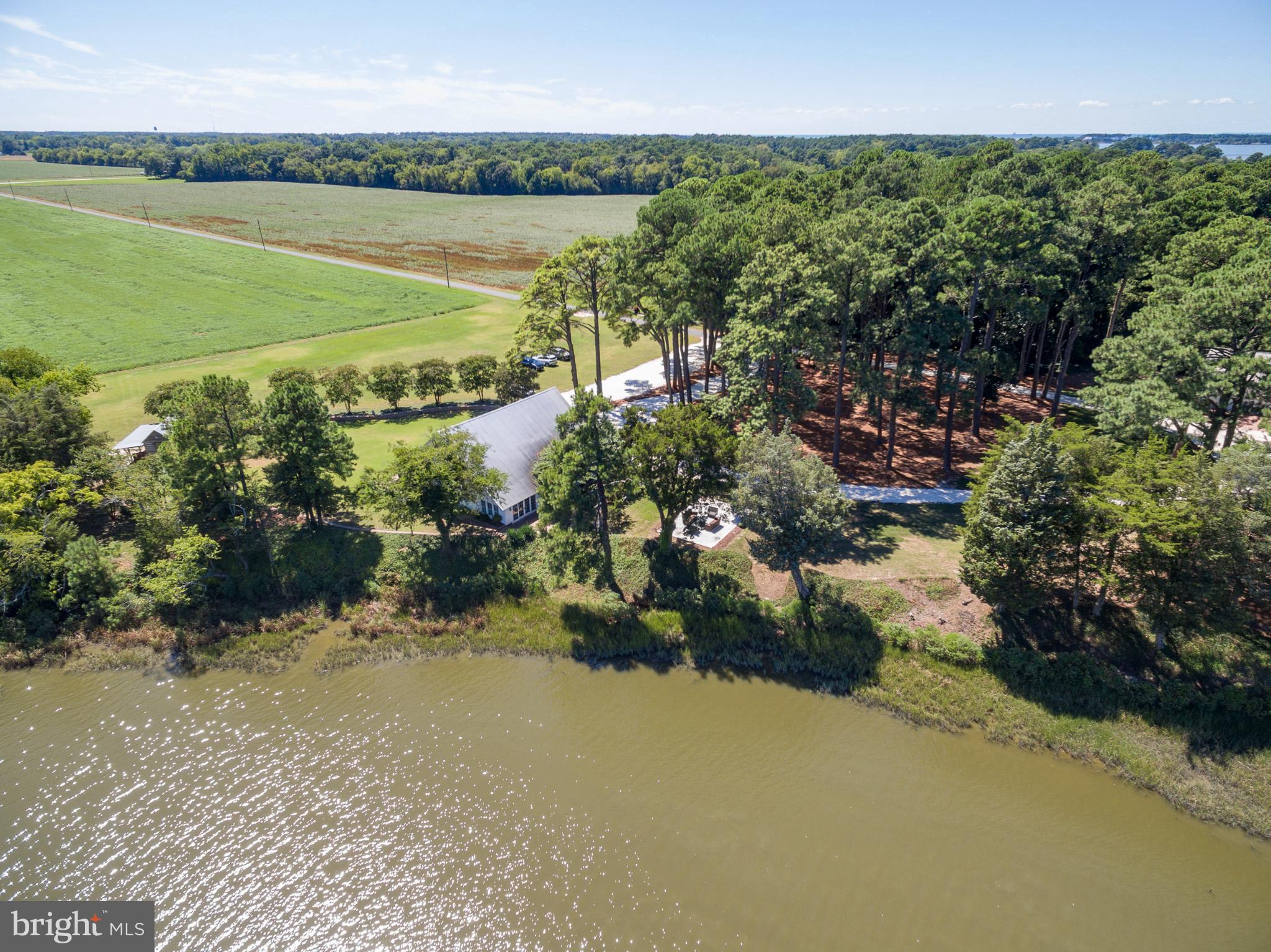 20031 Oakland Farm Road Cape Charles, VA 23310 - Photo 96 of 98 Serene waterfront retreat amidst lush greenery.