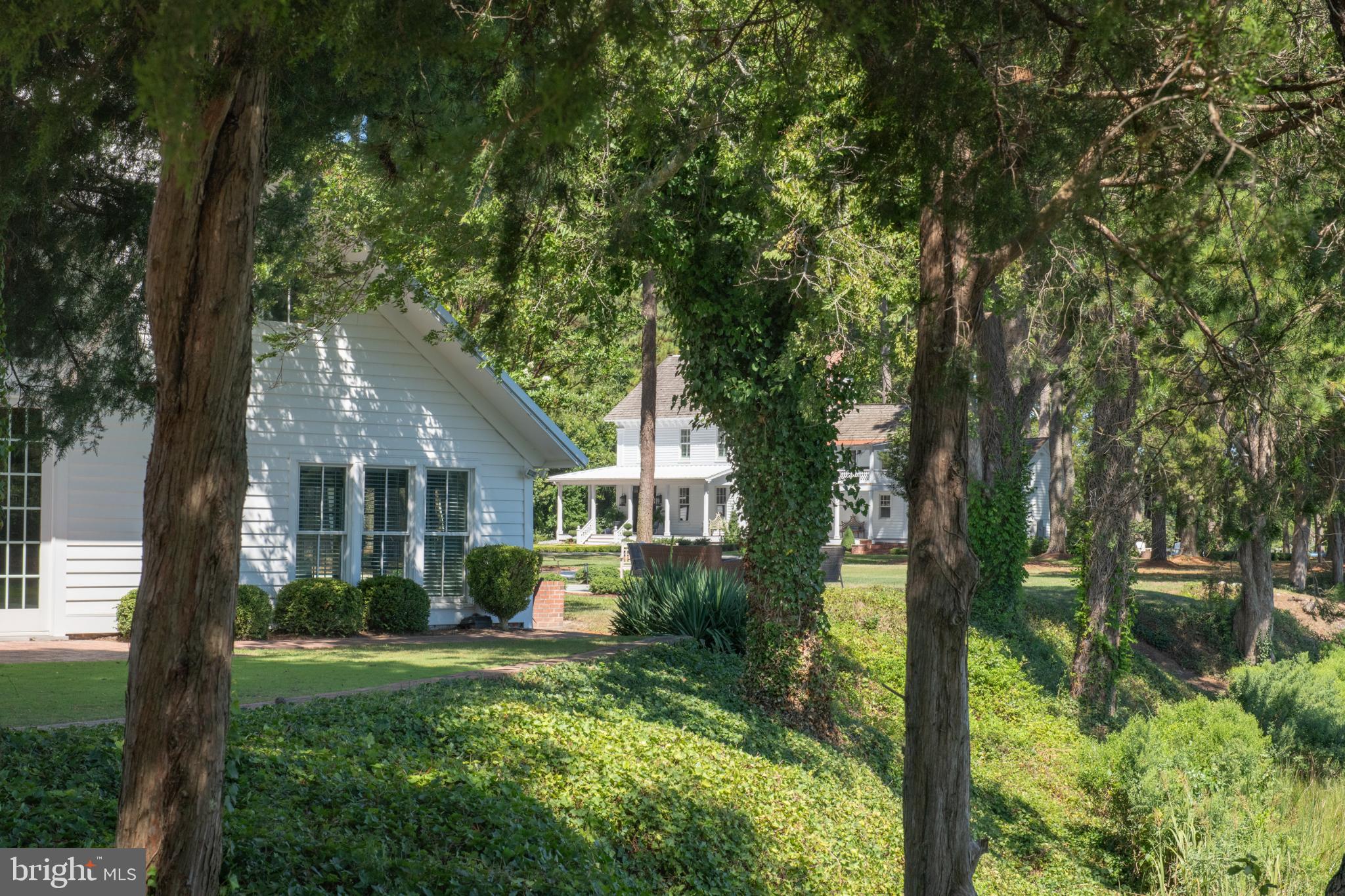 20031 Oakland Farm Road Cape Charles, VA 23310 - Photo 97 of 98 Charming homes nestled among lush greenery.