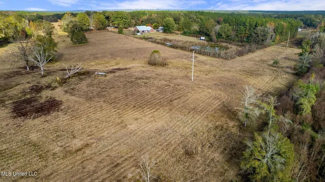 $64,500 | 10.10 Acres Jan's Road, Richton, MS 39476