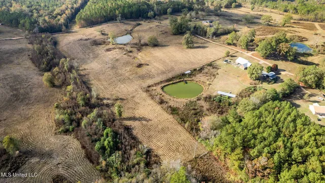 $64,500 | 10.10 Acres Jan's Road, Richton, MS 39476