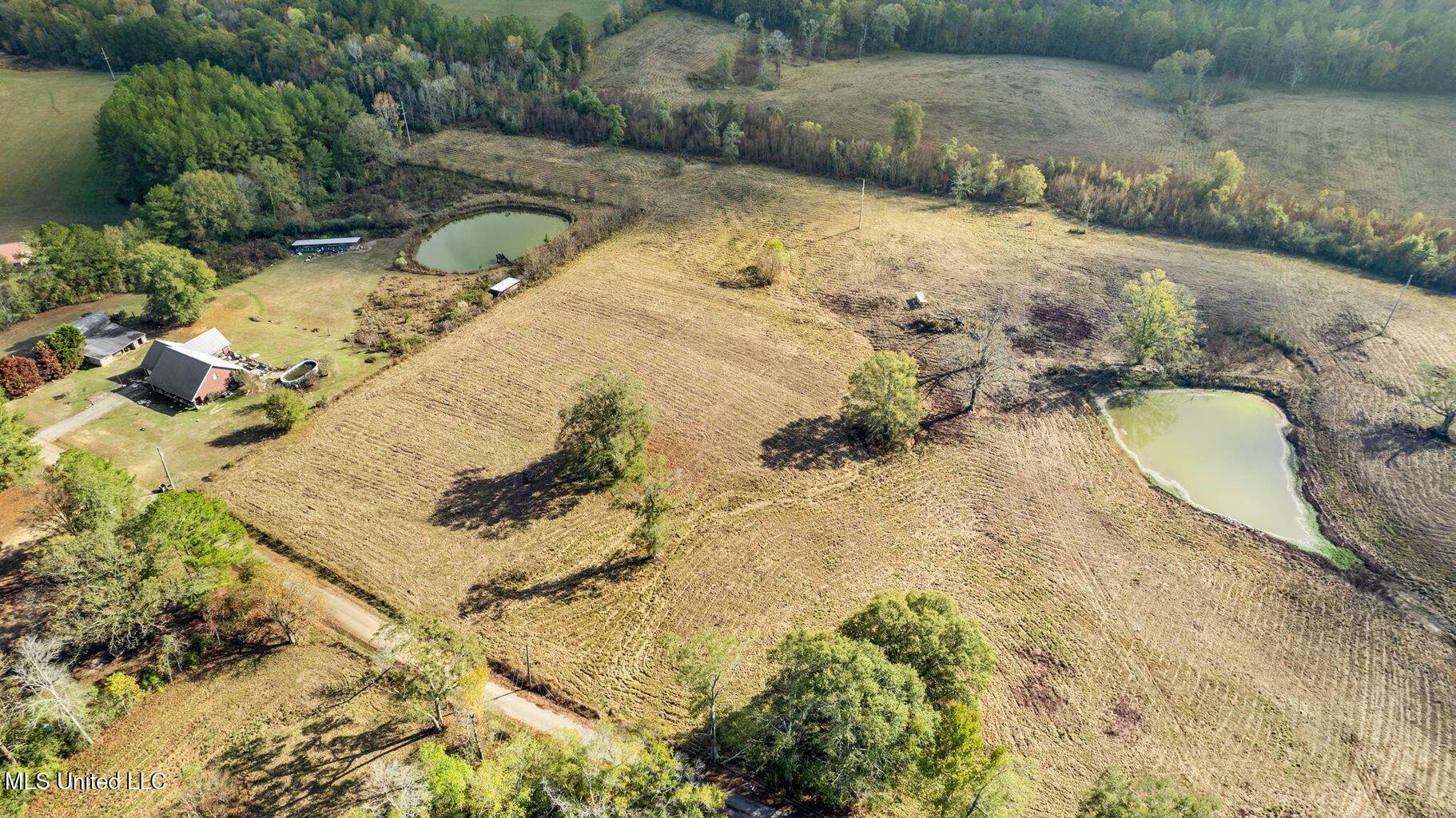10.10 Acres Jan's Road Richton, MS 39476 - Photo 13 of 16 IMG_4223