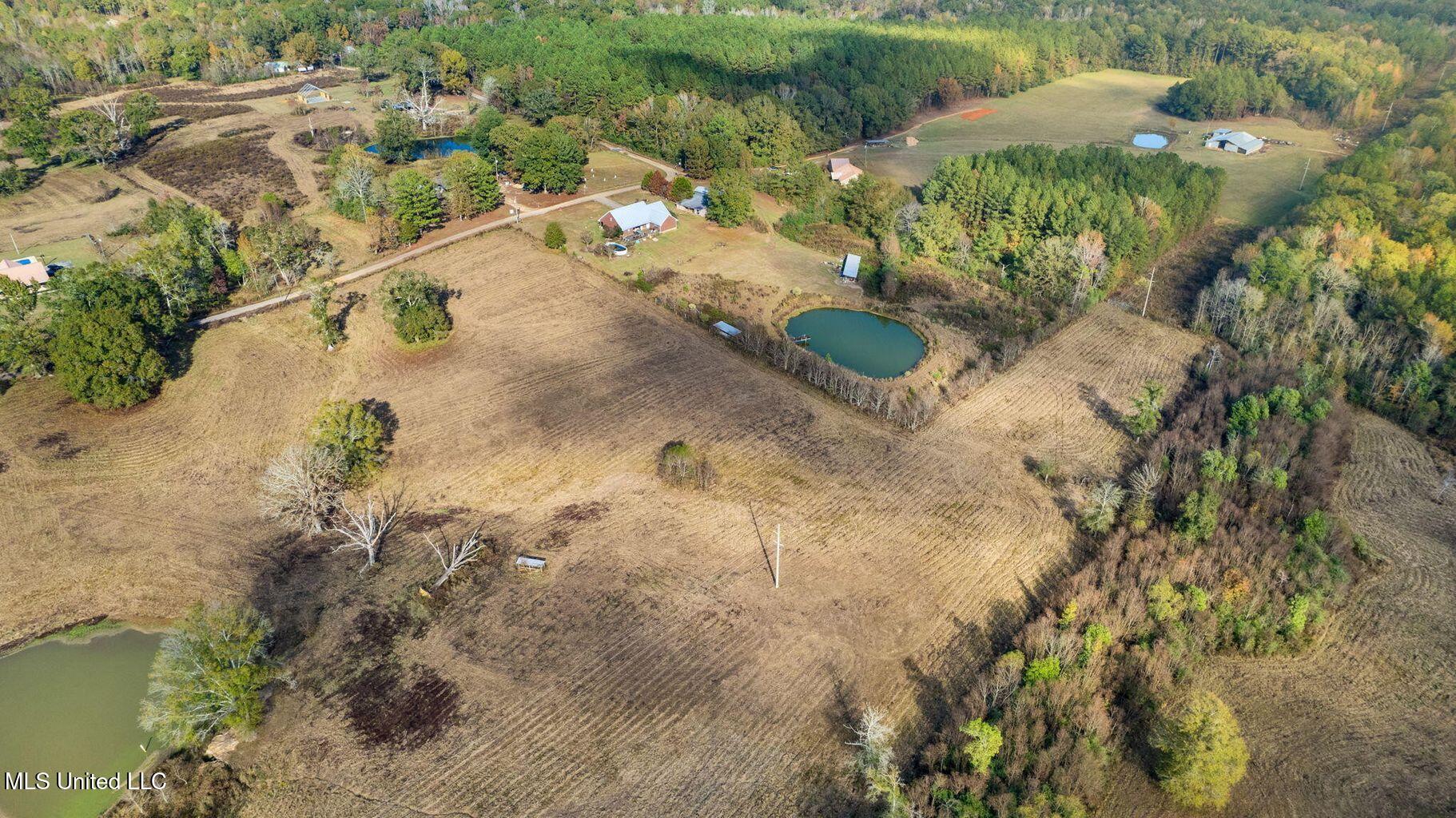 10.10 Acres Jan's Road Richton, MS 39476 - Photo 14 of 16 IMG_4222