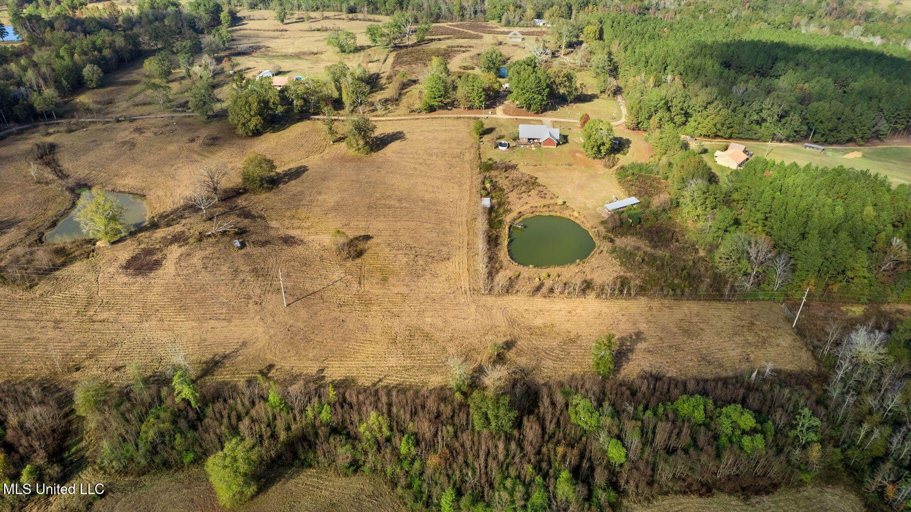 10.10 Acres Jan's Road Richton, MS 39476 - Photo 15 of 16 IMG_4221
