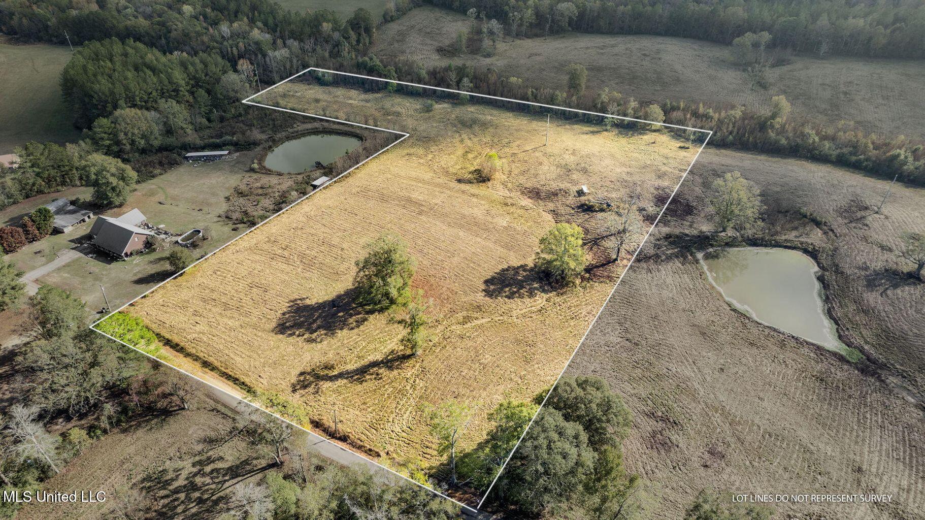 10.10 Acres Jan's Road Richton, MS 39476 - Photo 2 of 16 IMG_4210