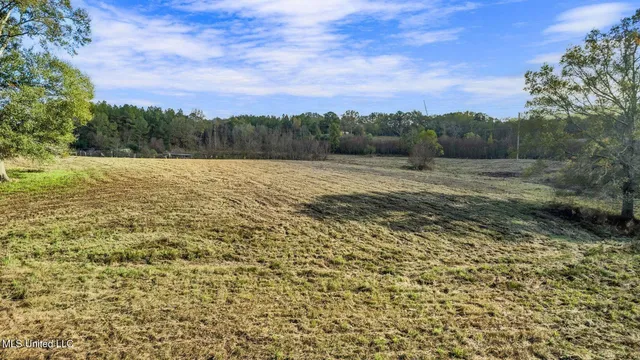 $64,500 | 10.10 Acres Jan's Road, Richton, MS 39476
