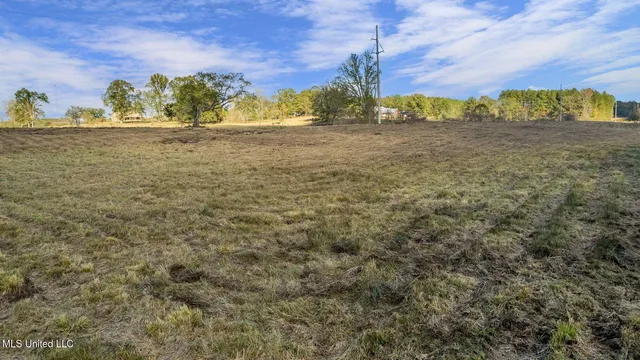 $64,500 | 10.10 Acres Jan's Road, Richton, MS 39476