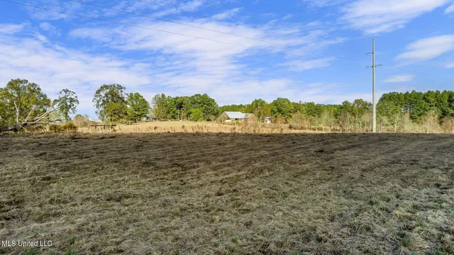 $64,500 | 10.10 Acres Jan's Road, Richton, MS 39476