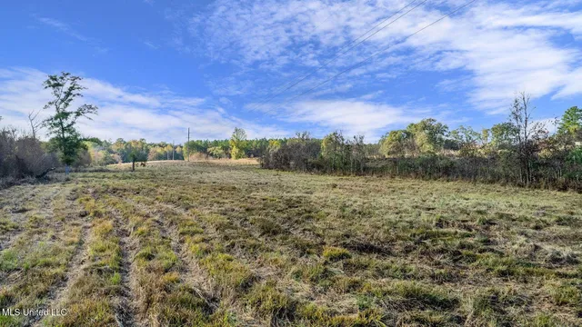 $64,500 | 10.10 Acres Jan's Road, Richton, MS 39476