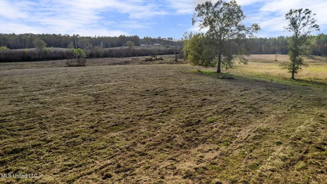 $64,500 | 10.10 Acres Jan's Road, Richton, MS 39476