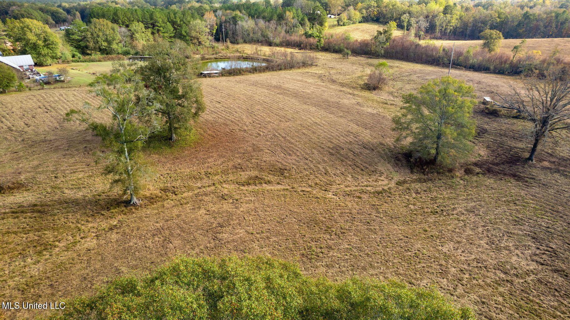 10.10 Acres Jan's Road Richton, MS 39476 - Photo 8 of 16 IMG_4216