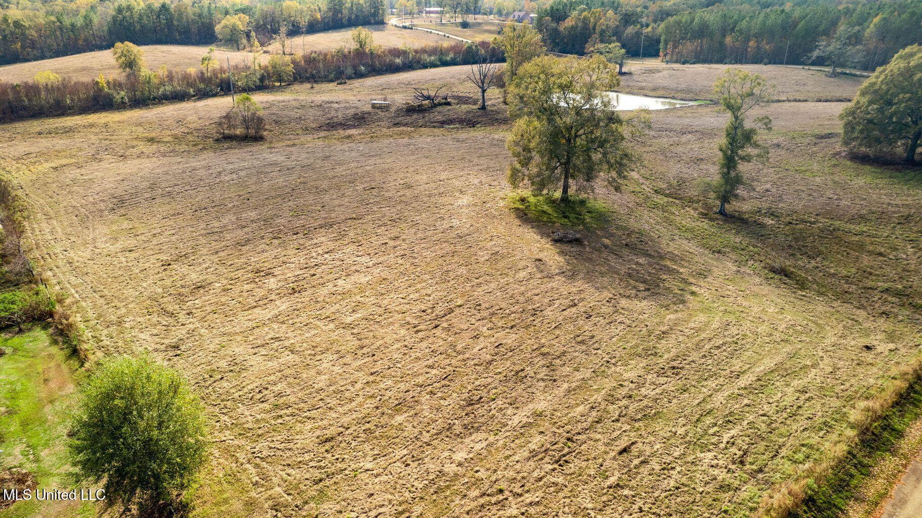 10.10 Acres Jan's Road Richton, MS 39476 - Photo 9 of 16 IMG_4217