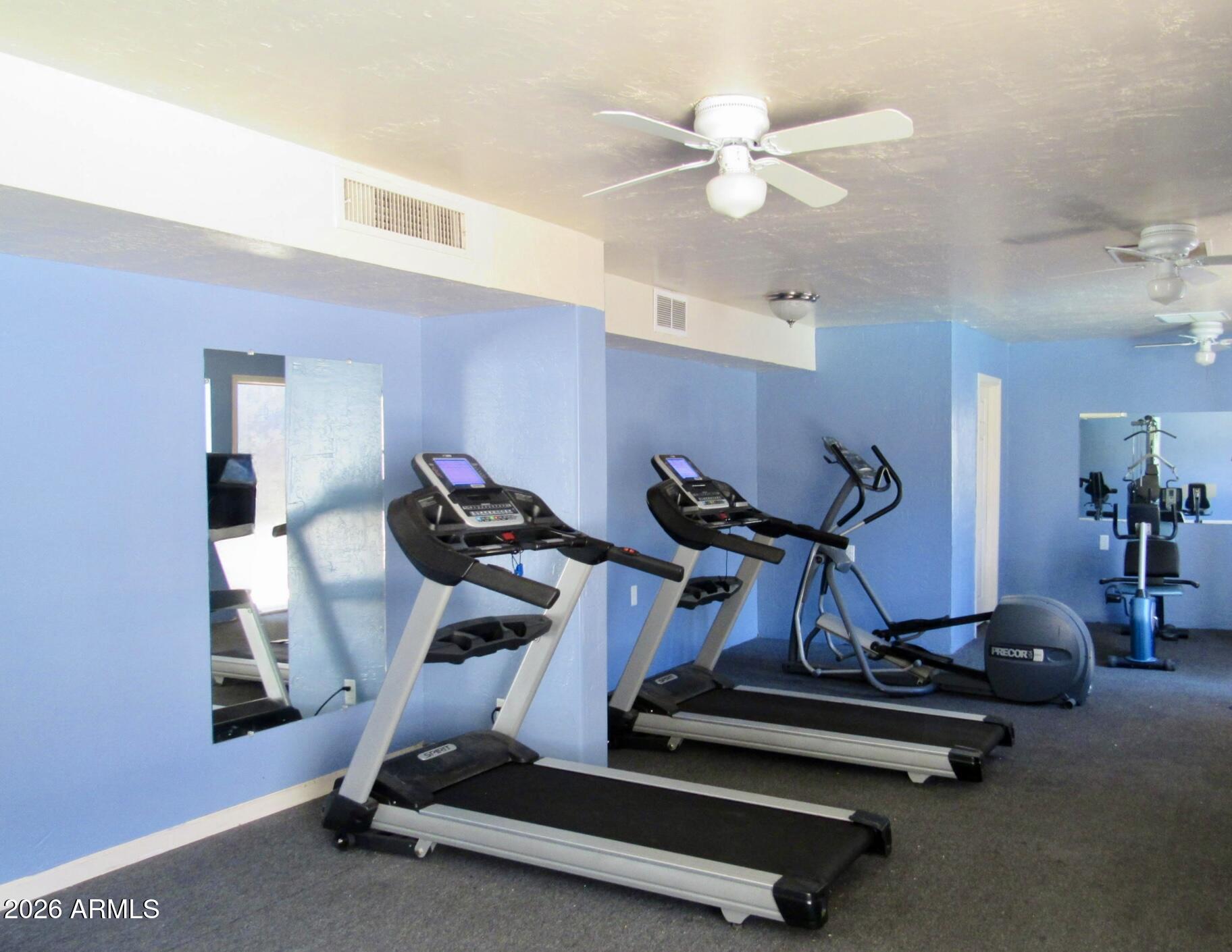 424 West Brown Road, Unit 225 Mesa, AZ 85201 - Photo 22 of 29 Fitness Center 1