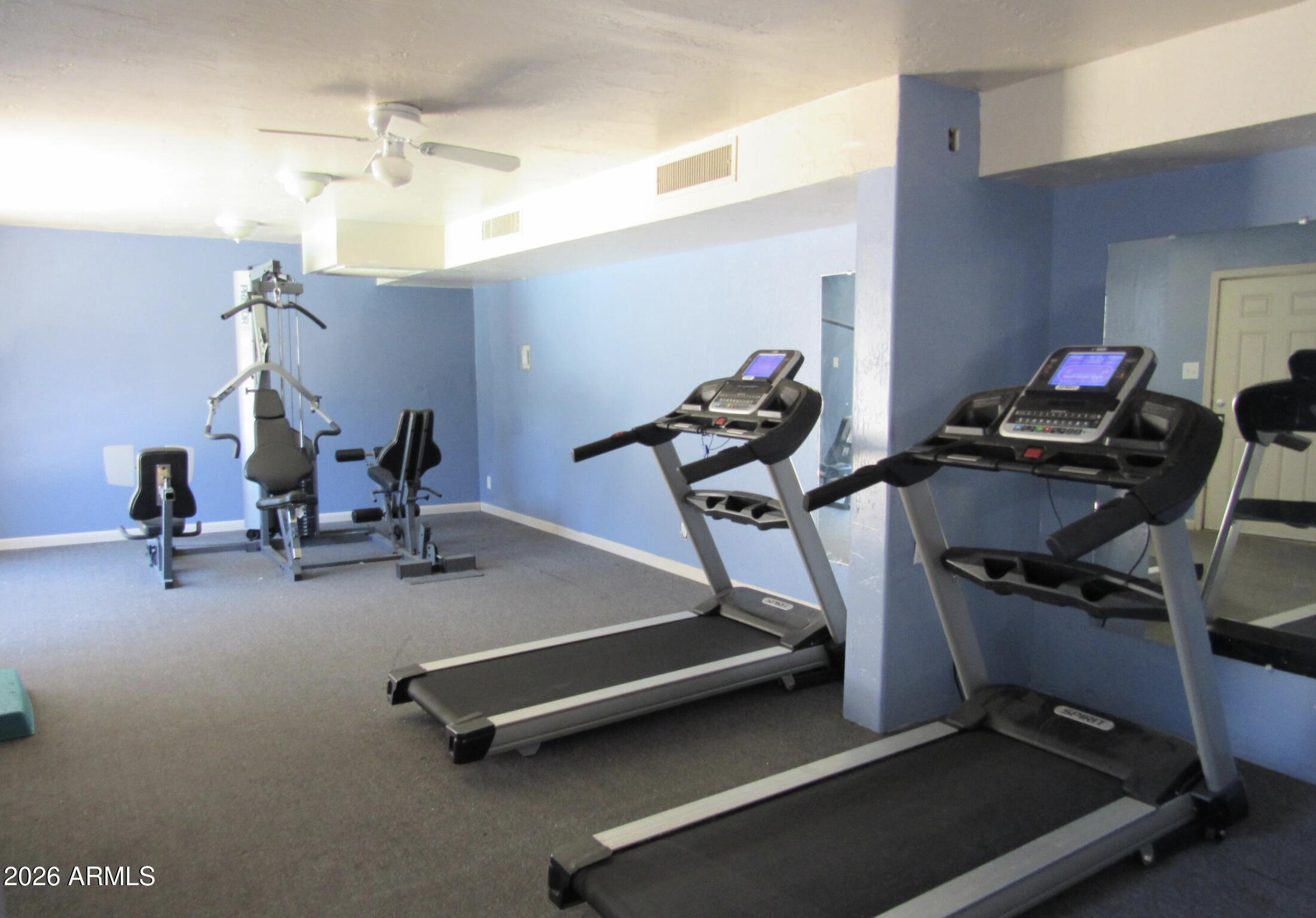 424 West Brown Road, Unit 225 Mesa, AZ 85201 - Photo 23 of 29 Fitness Center