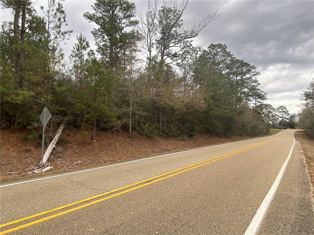 Five Five Lakes Road Bush, LA 70431 - Photo 4 of 5 Gallery Image 4