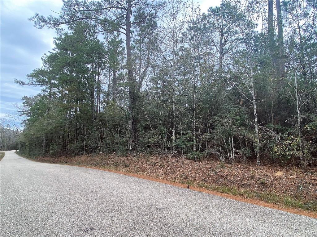 Five Five Lakes Road Bush, LA 70431 - Photo 5 of 5 Gallery Image 5