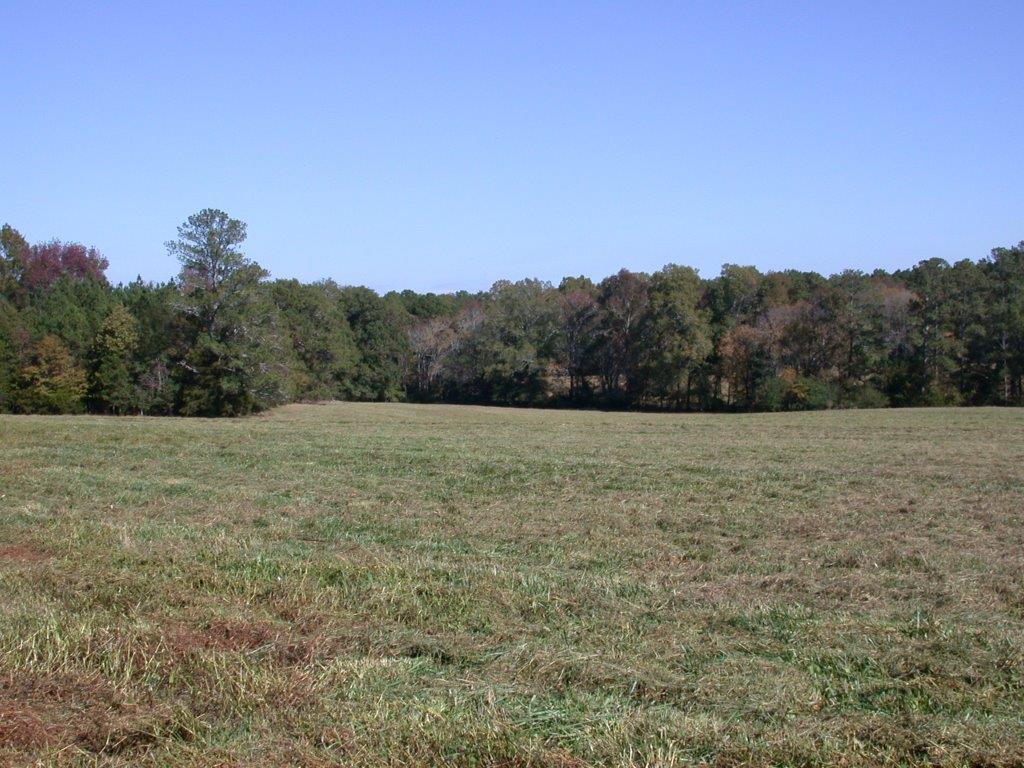 - Larkin Rice Road Saluda, SC 29138 - Photo 1 of 70