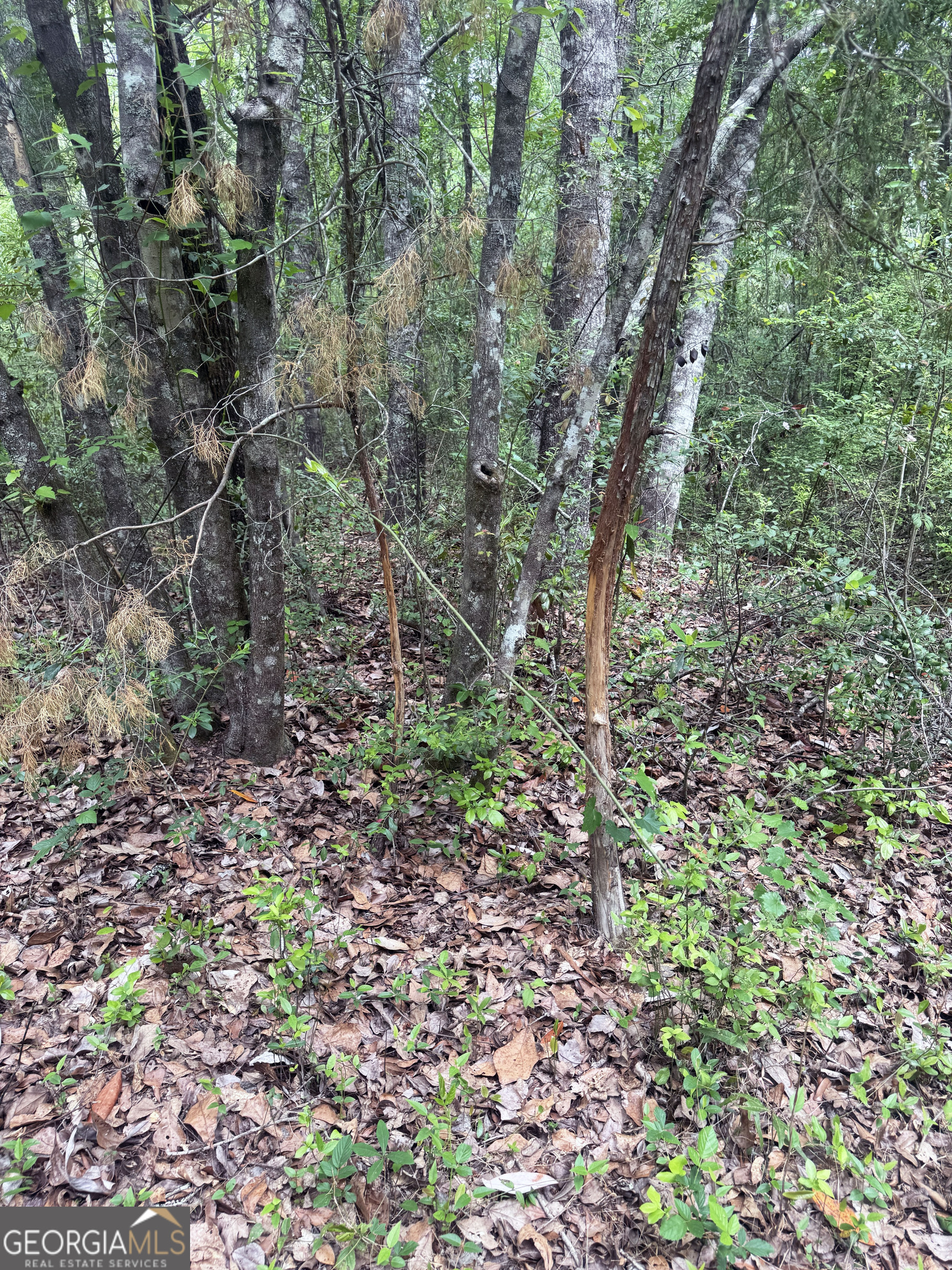 11380 Nashville Enigma Road Enigma, GA 31749 - Photo 27 of 42