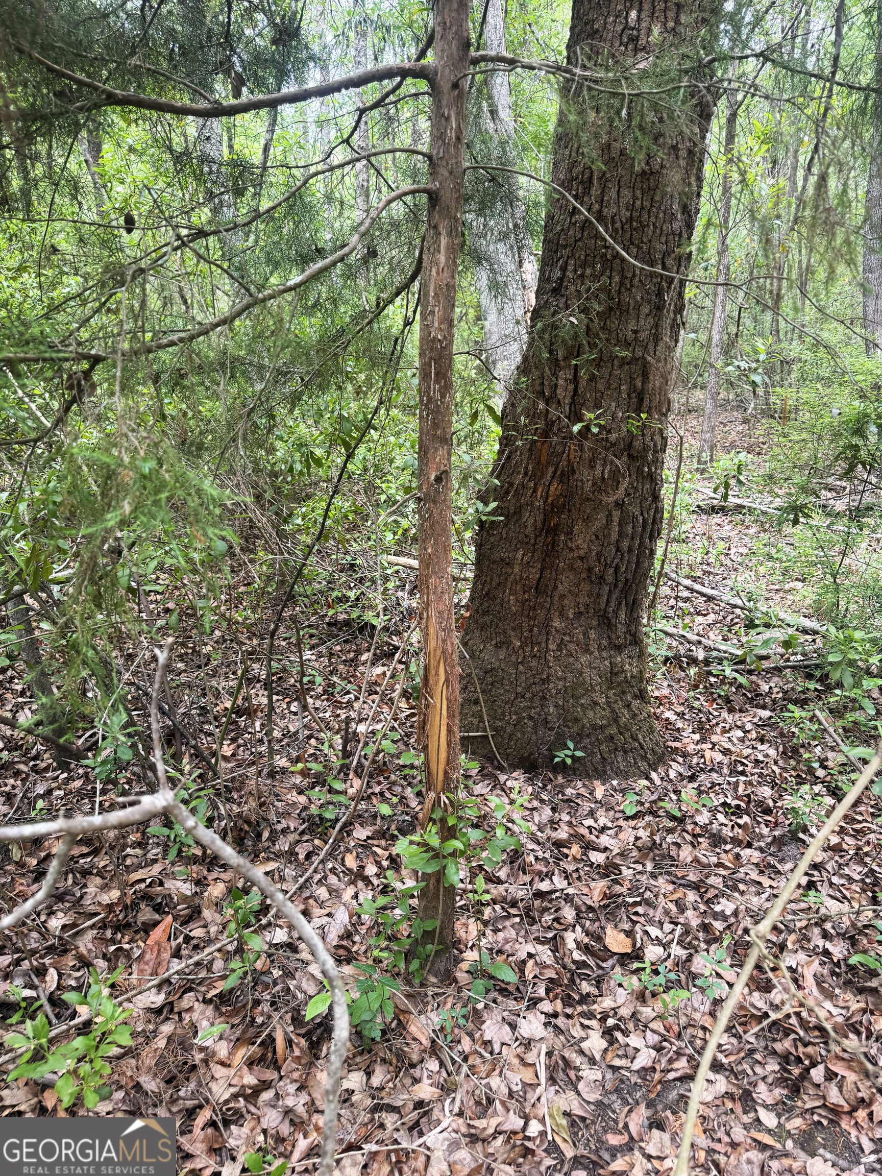 11380 Nashville Enigma Road Enigma, GA 31749 - Photo 28 of 42