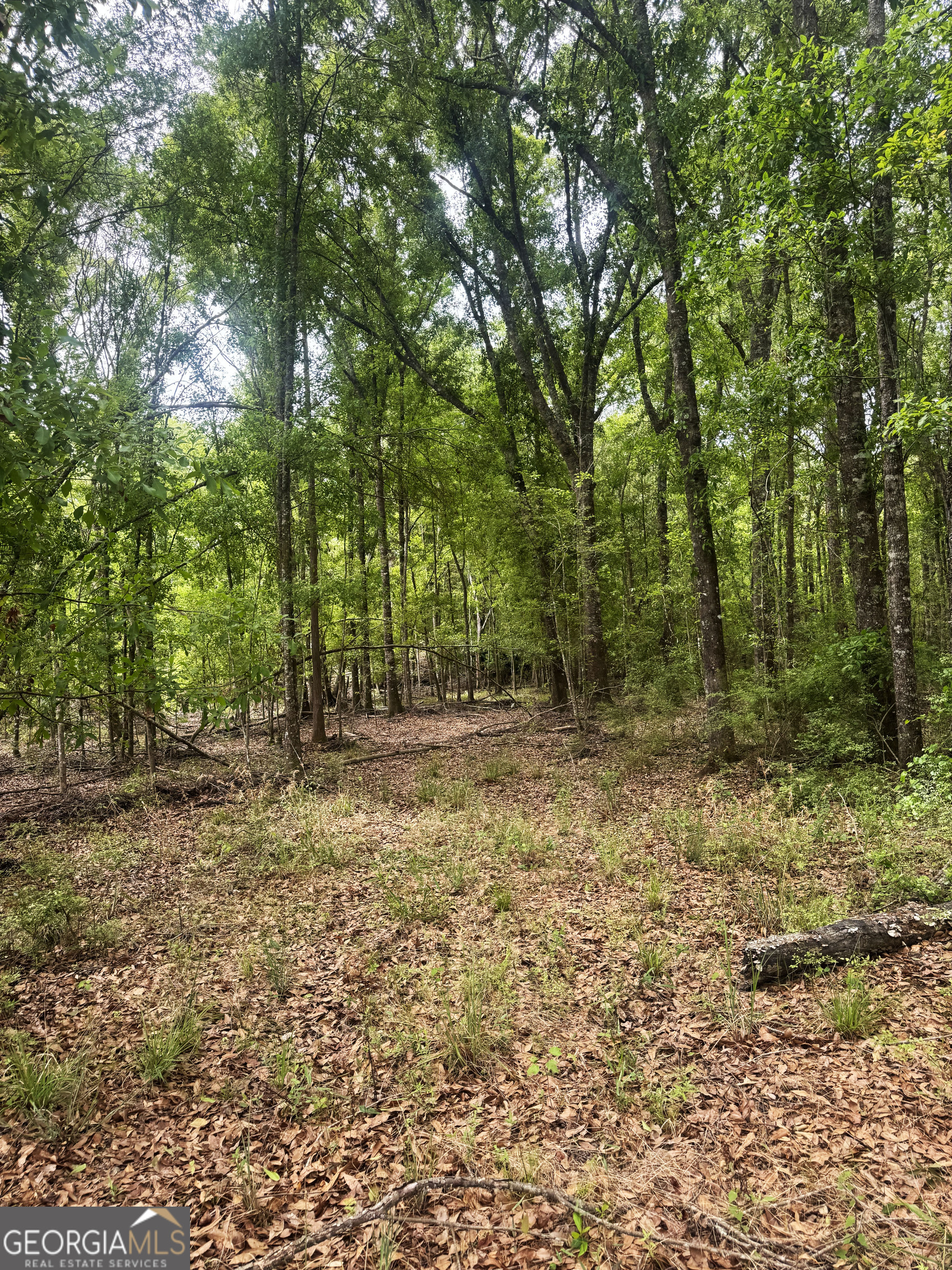 11380 Nashville Enigma Road Enigma, GA 31749 - Photo 29 of 42