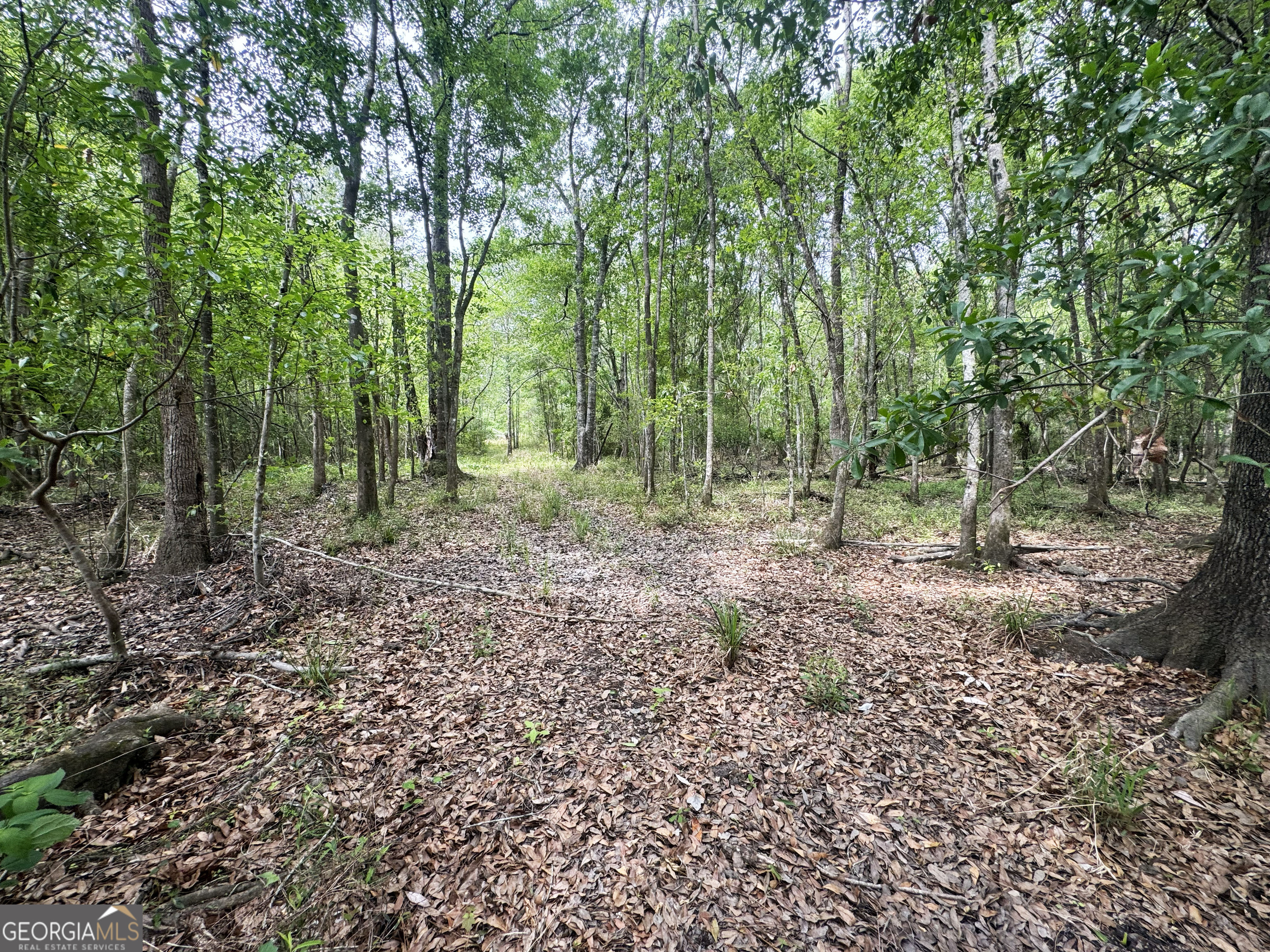 11380 Nashville Enigma Road Enigma, GA 31749 - Photo 30 of 42