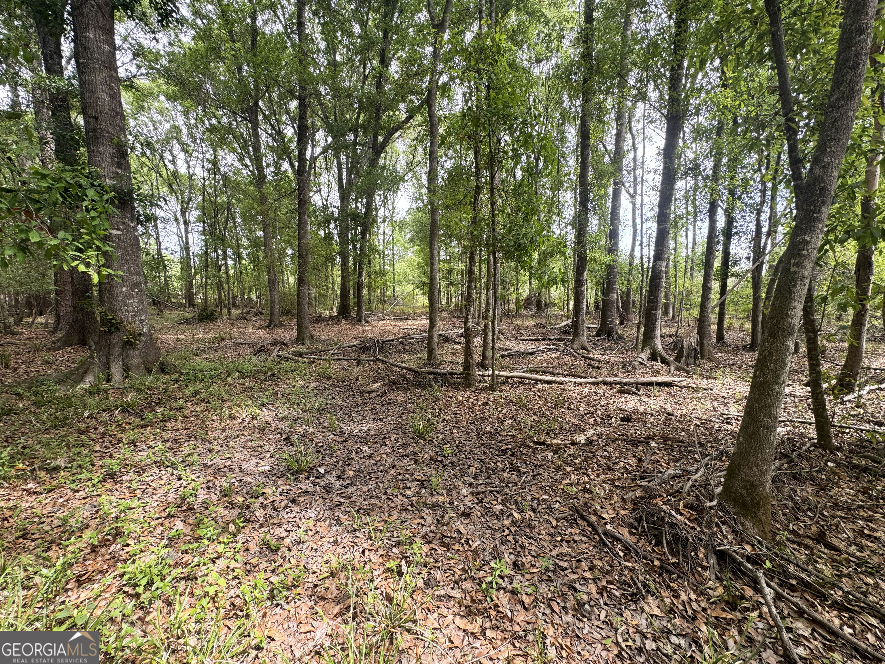 11380 Nashville Enigma Road Enigma, GA 31749 - Photo 31 of 42