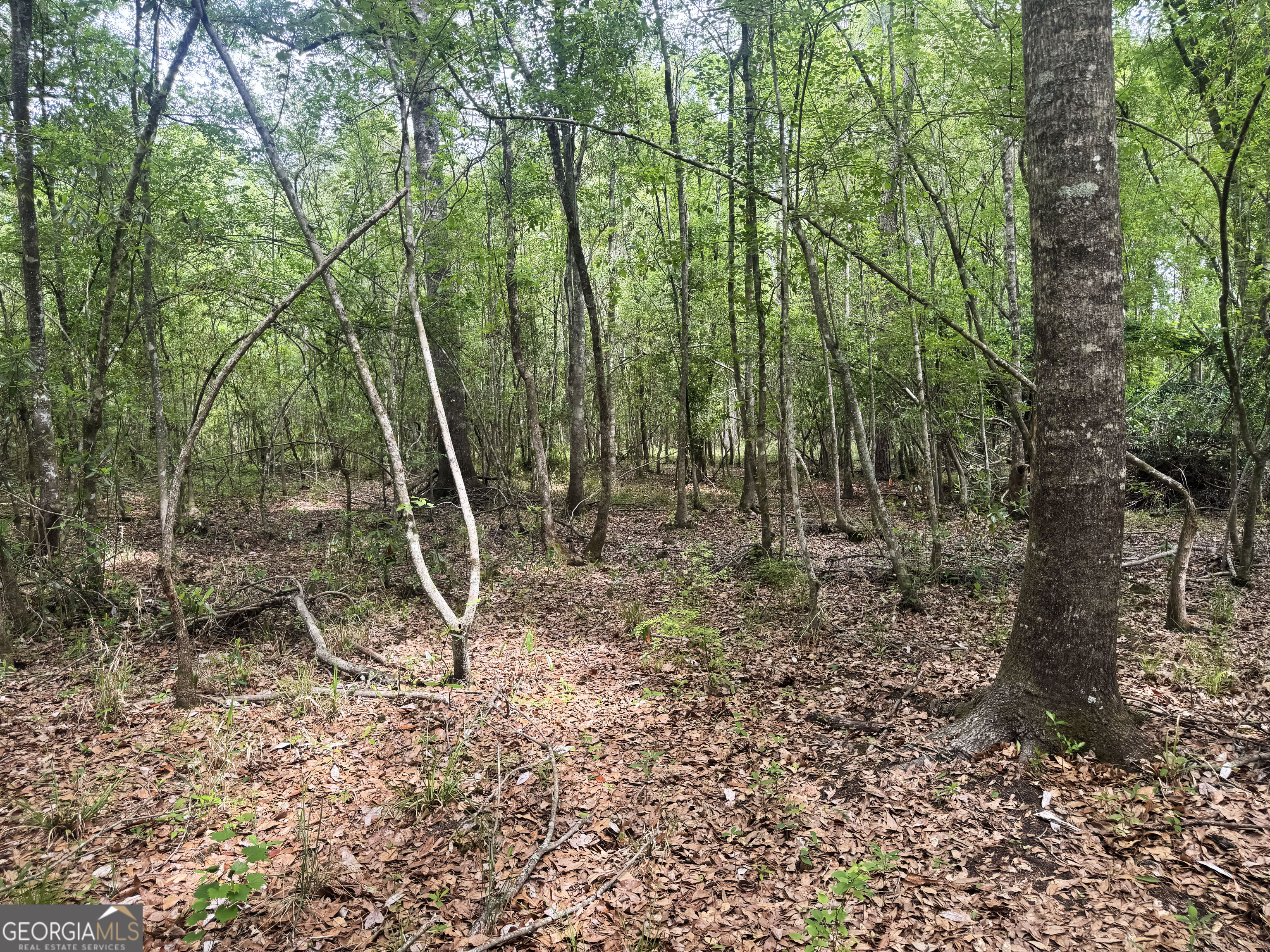 11380 Nashville Enigma Road Enigma, GA 31749 - Photo 32 of 42