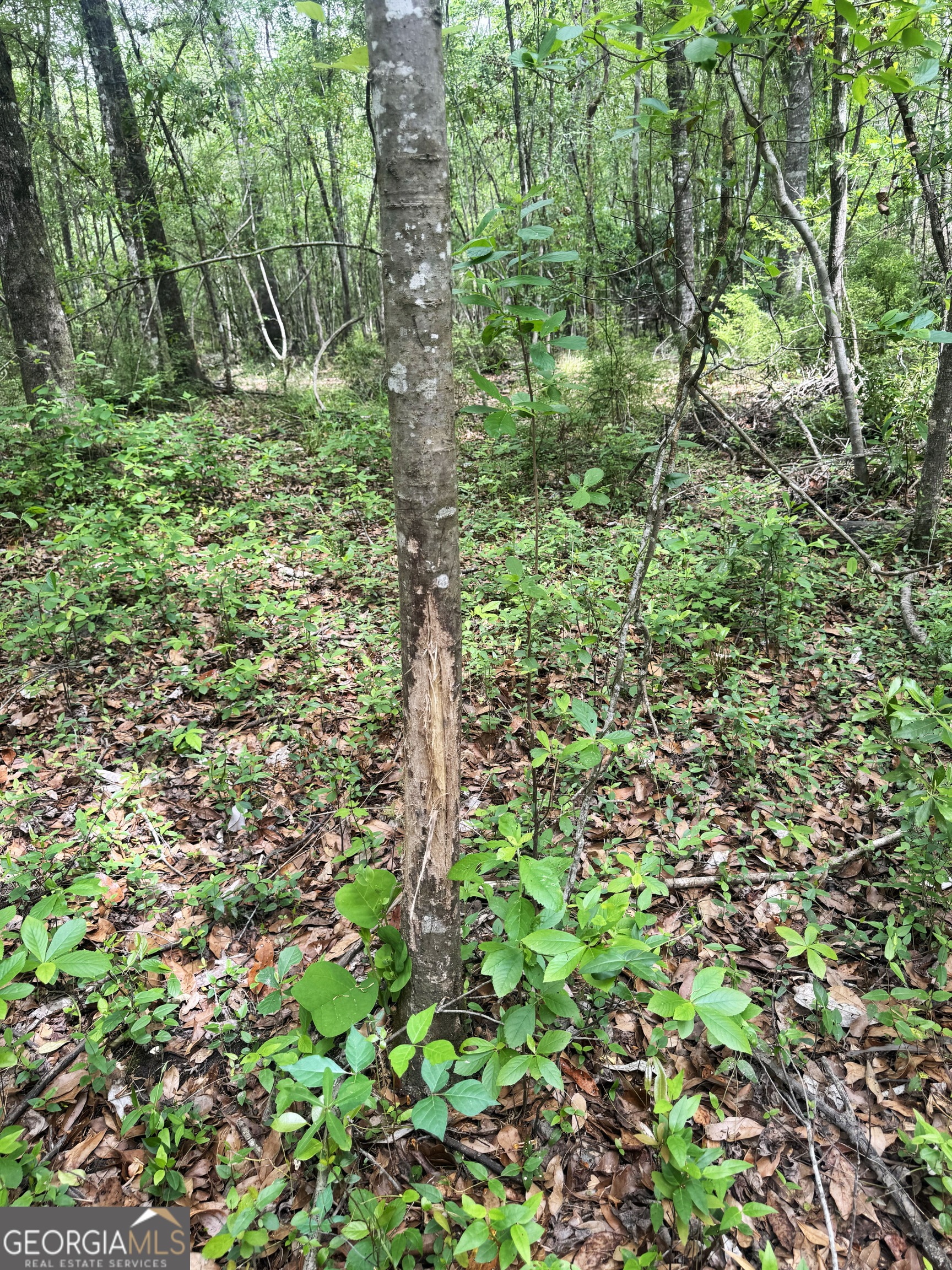 11380 Nashville Enigma Road Enigma, GA 31749 - Photo 33 of 42