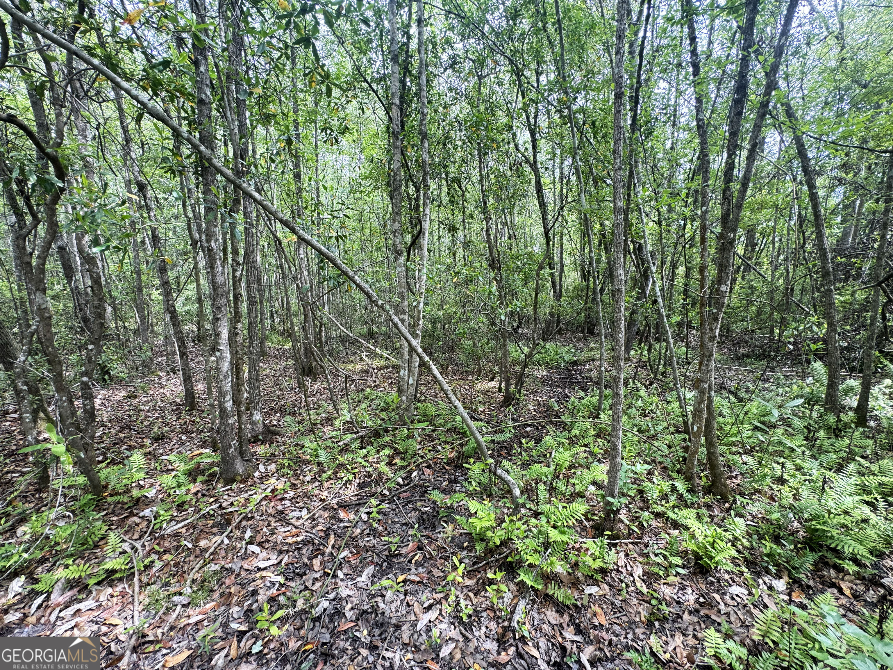 11380 Nashville Enigma Road Enigma, GA 31749 - Photo 34 of 42