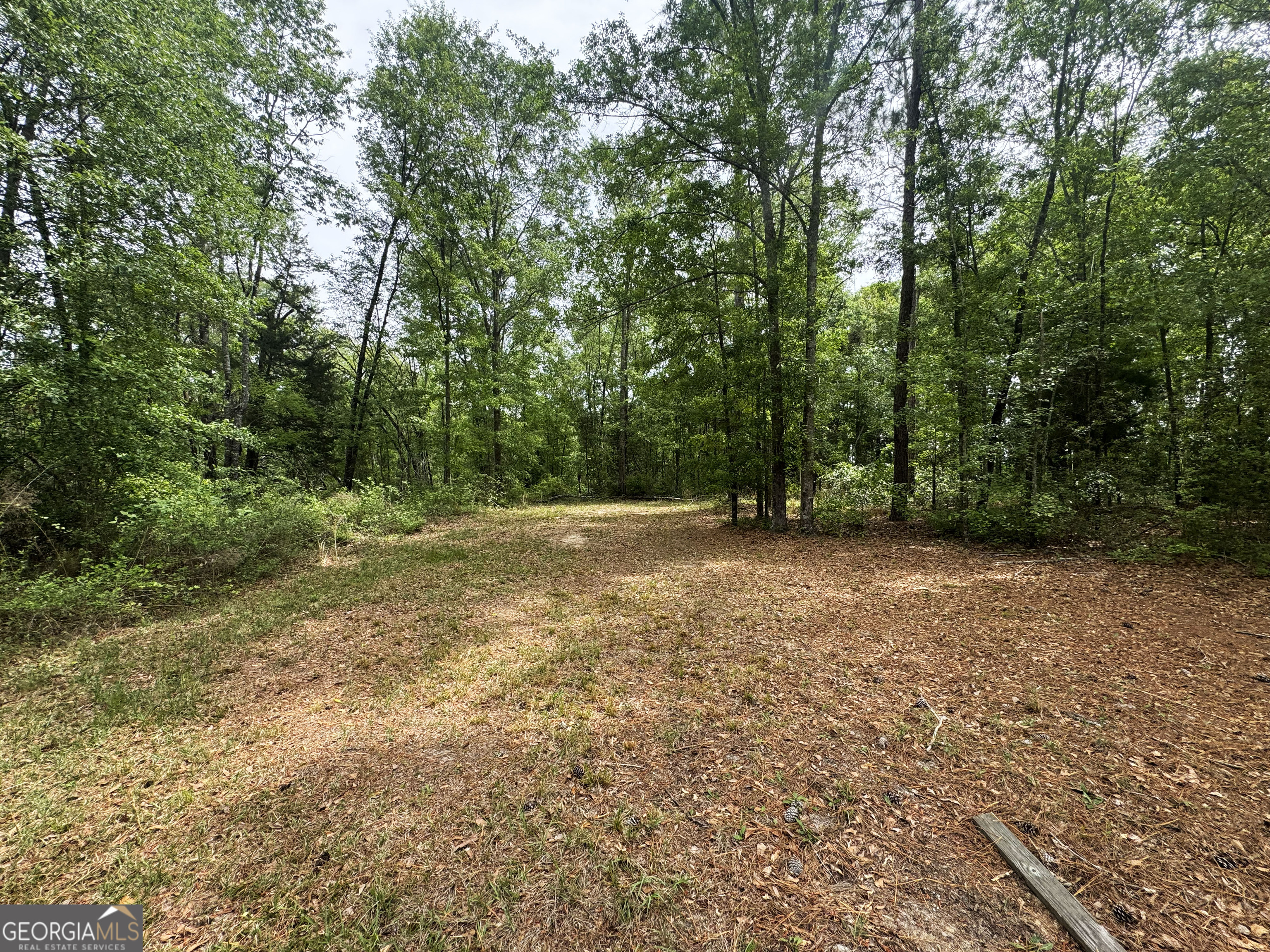 11380 Nashville Enigma Road Enigma, GA 31749 - Photo 35 of 42