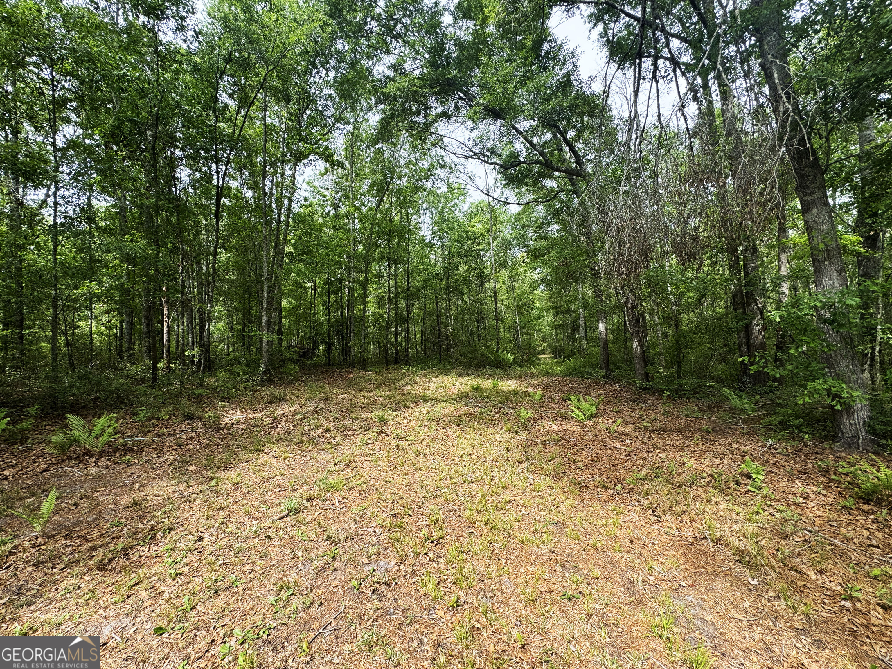 11380 Nashville Enigma Road Enigma, GA 31749 - Photo 37 of 42