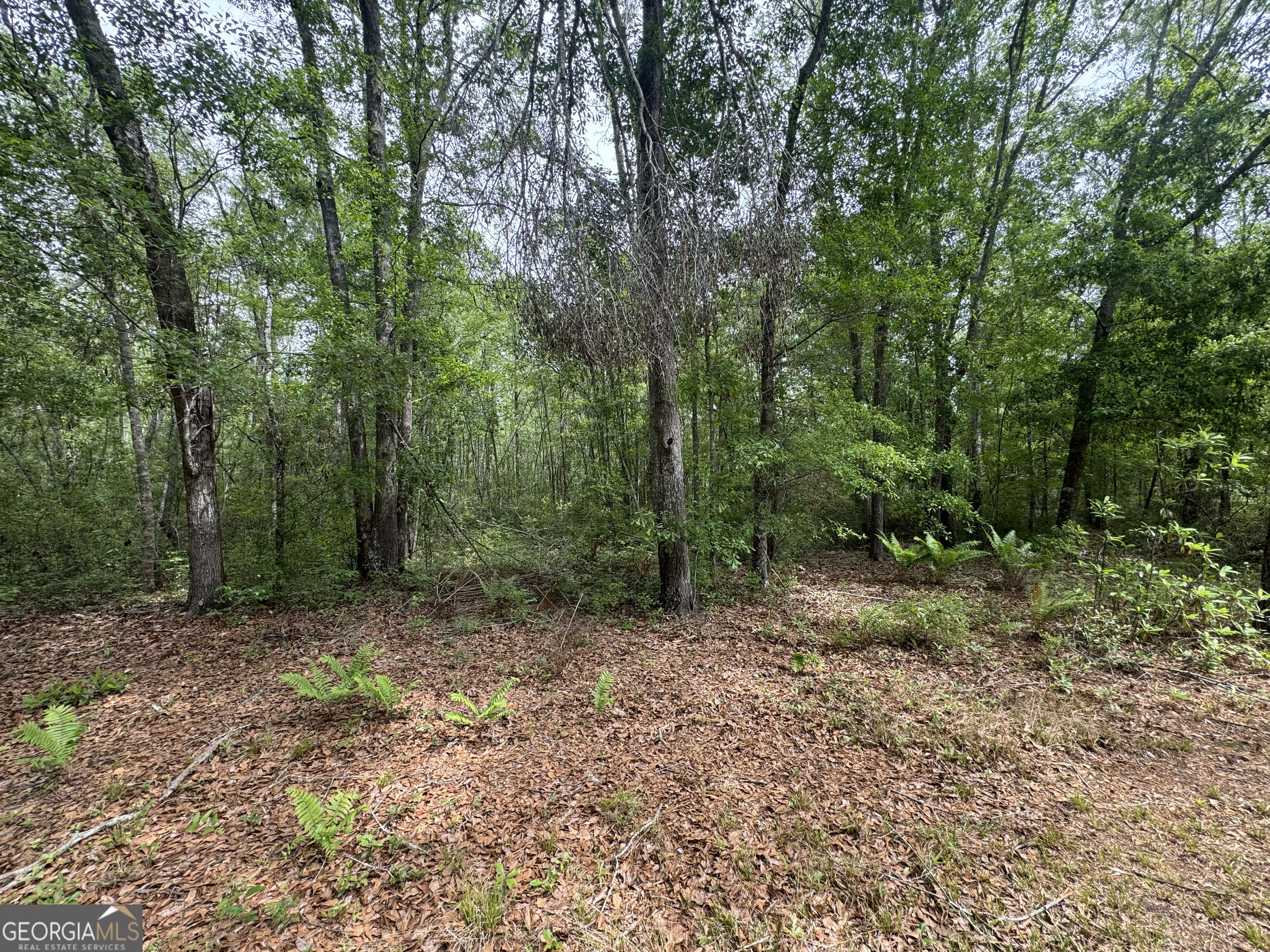 11380 Nashville Enigma Road Enigma, GA 31749 - Photo 38 of 42