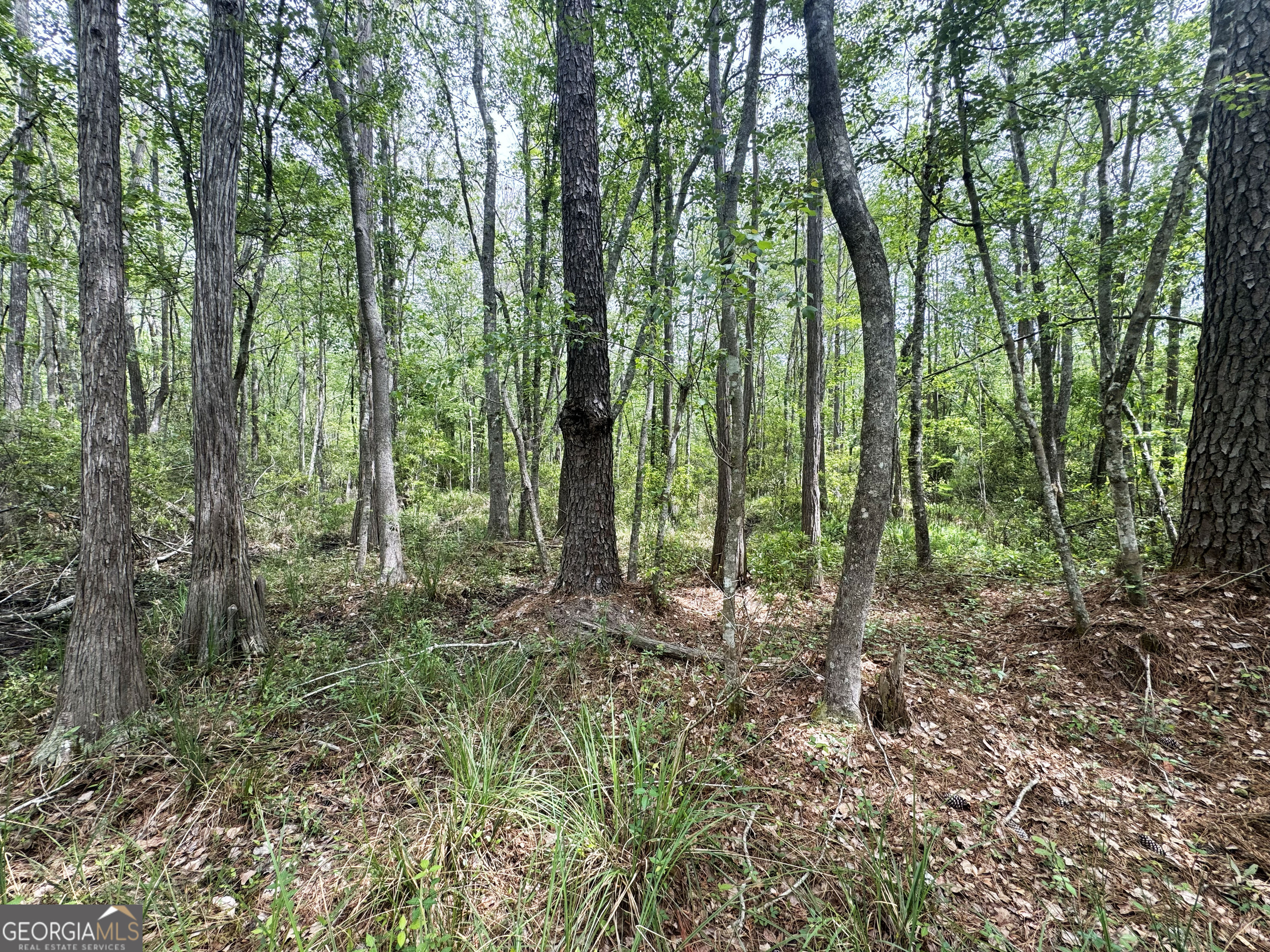 11380 Nashville Enigma Road Enigma, GA 31749 - Photo 39 of 42