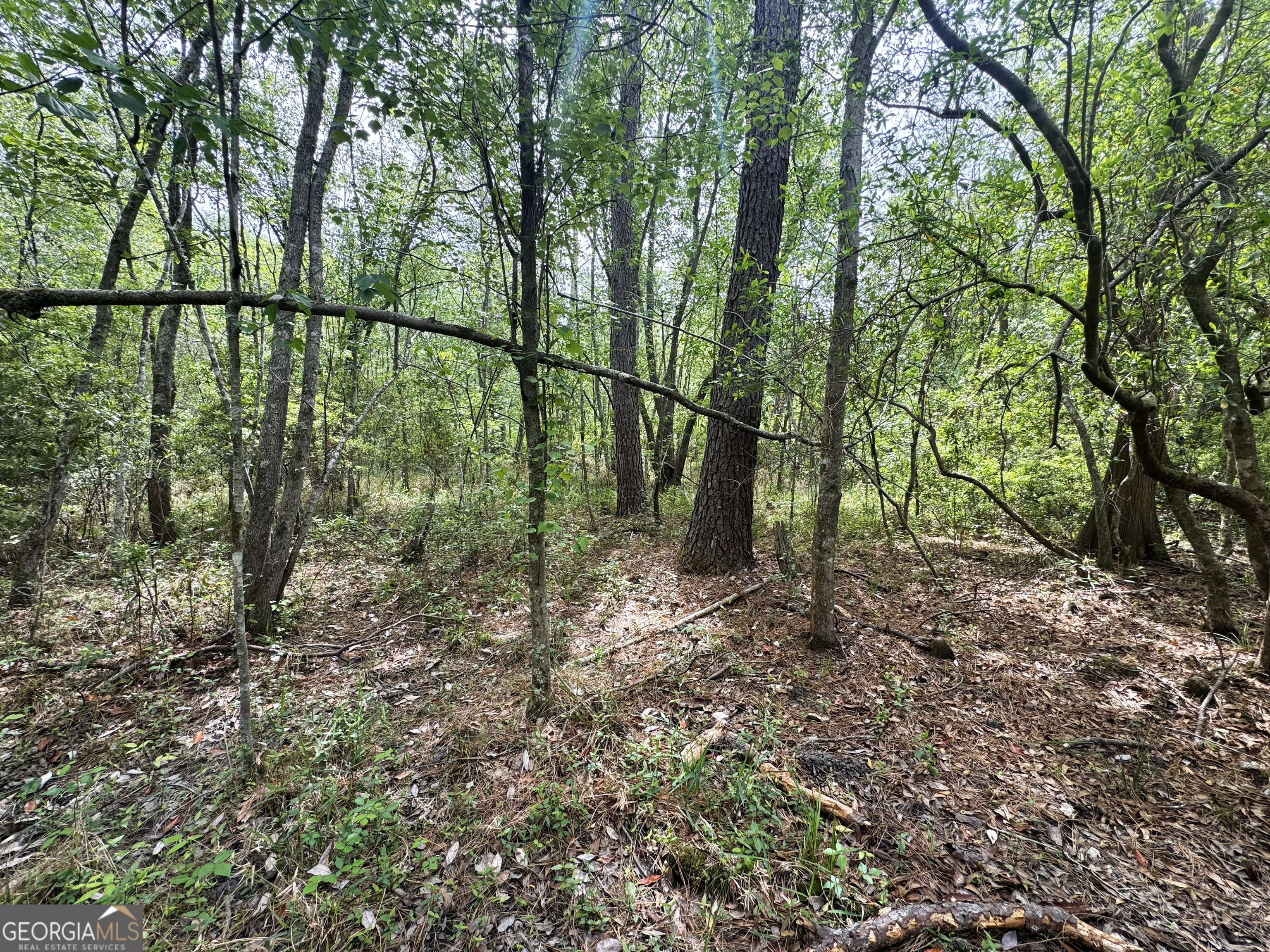 11380 Nashville Enigma Road Enigma, GA 31749 - Photo 40 of 42