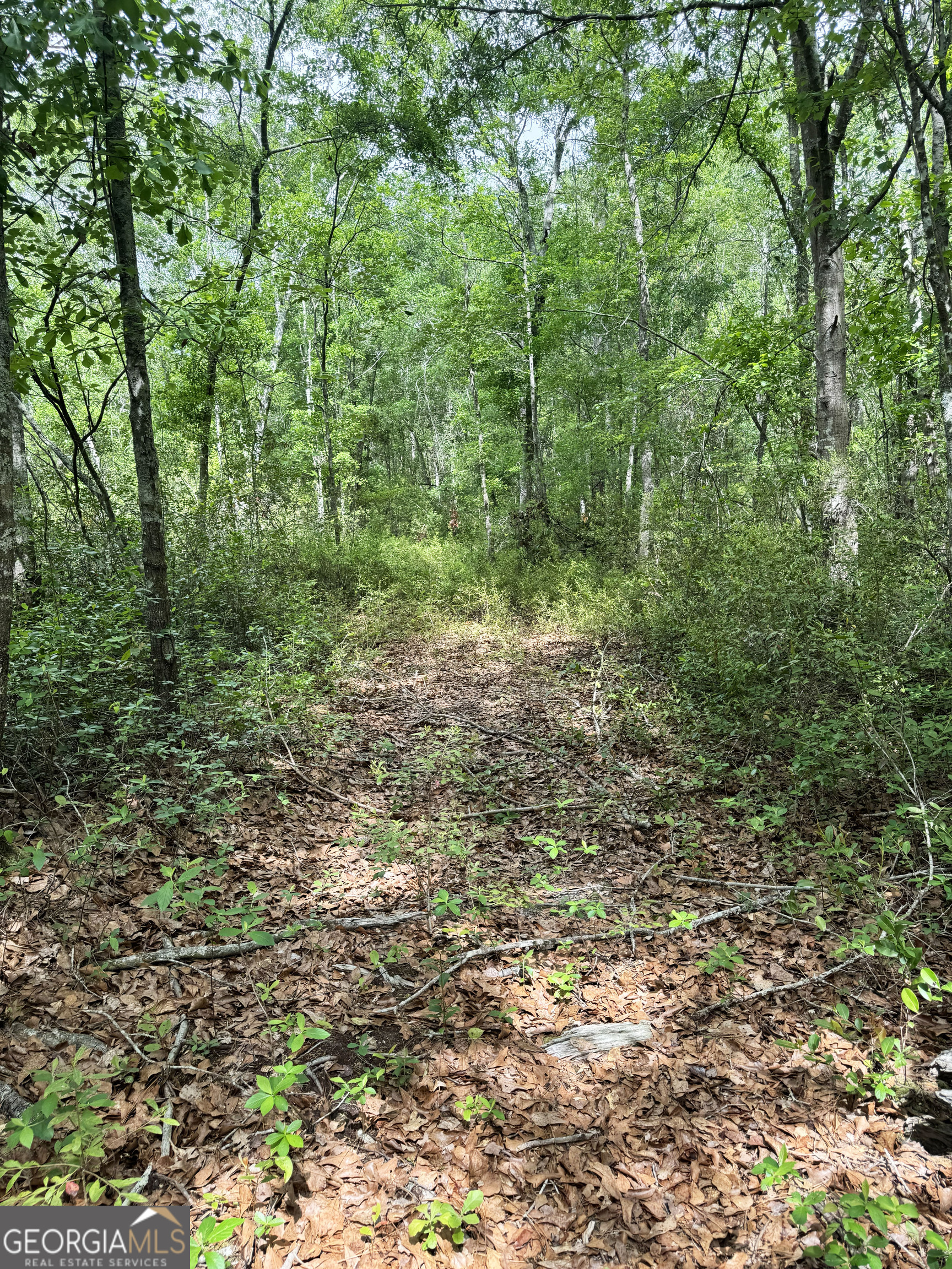 11380 Nashville Enigma Road Enigma, GA 31749 - Photo 41 of 42