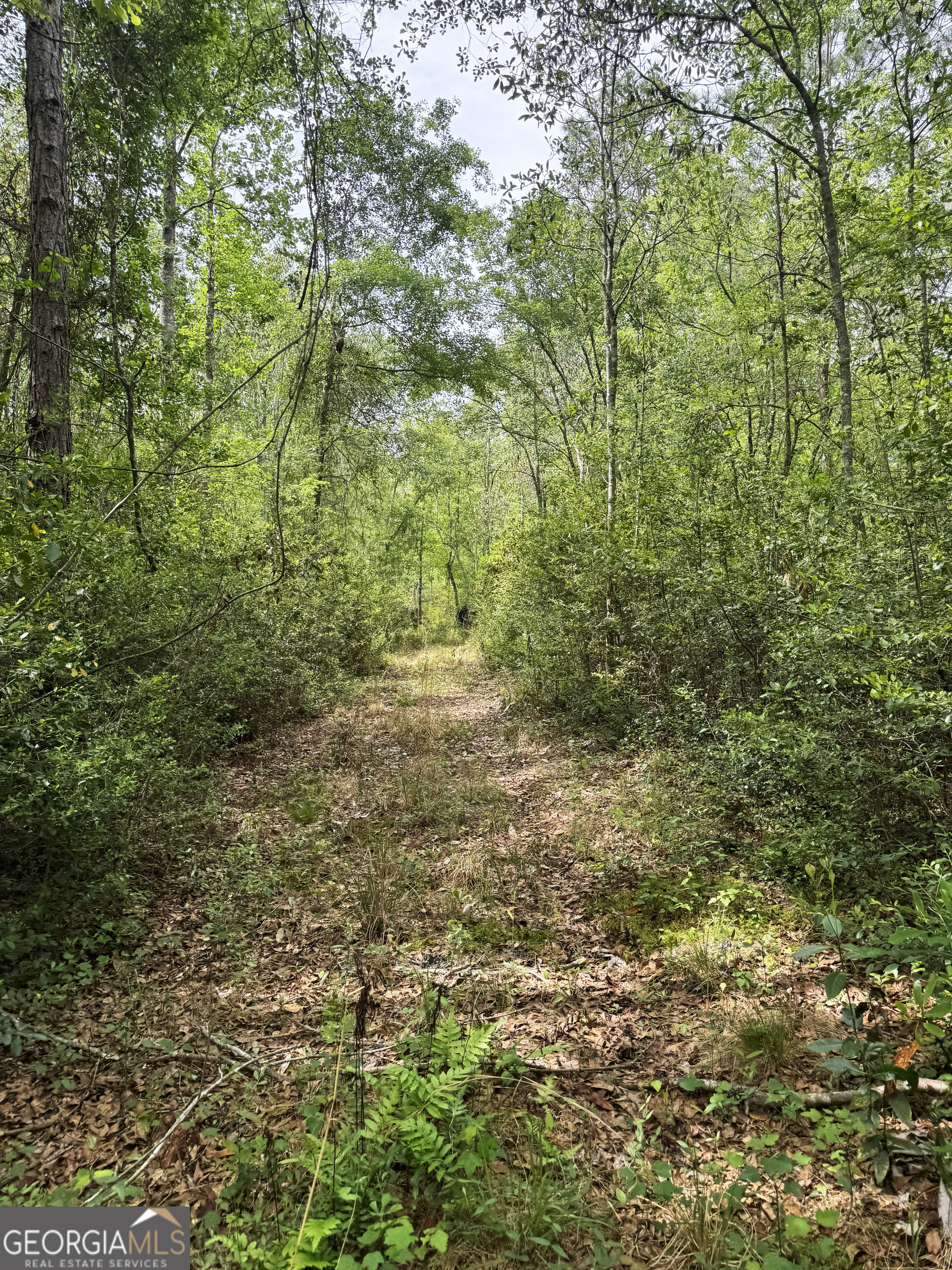 11380 Nashville Enigma Road Enigma, GA 31749 - Photo 42 of 42