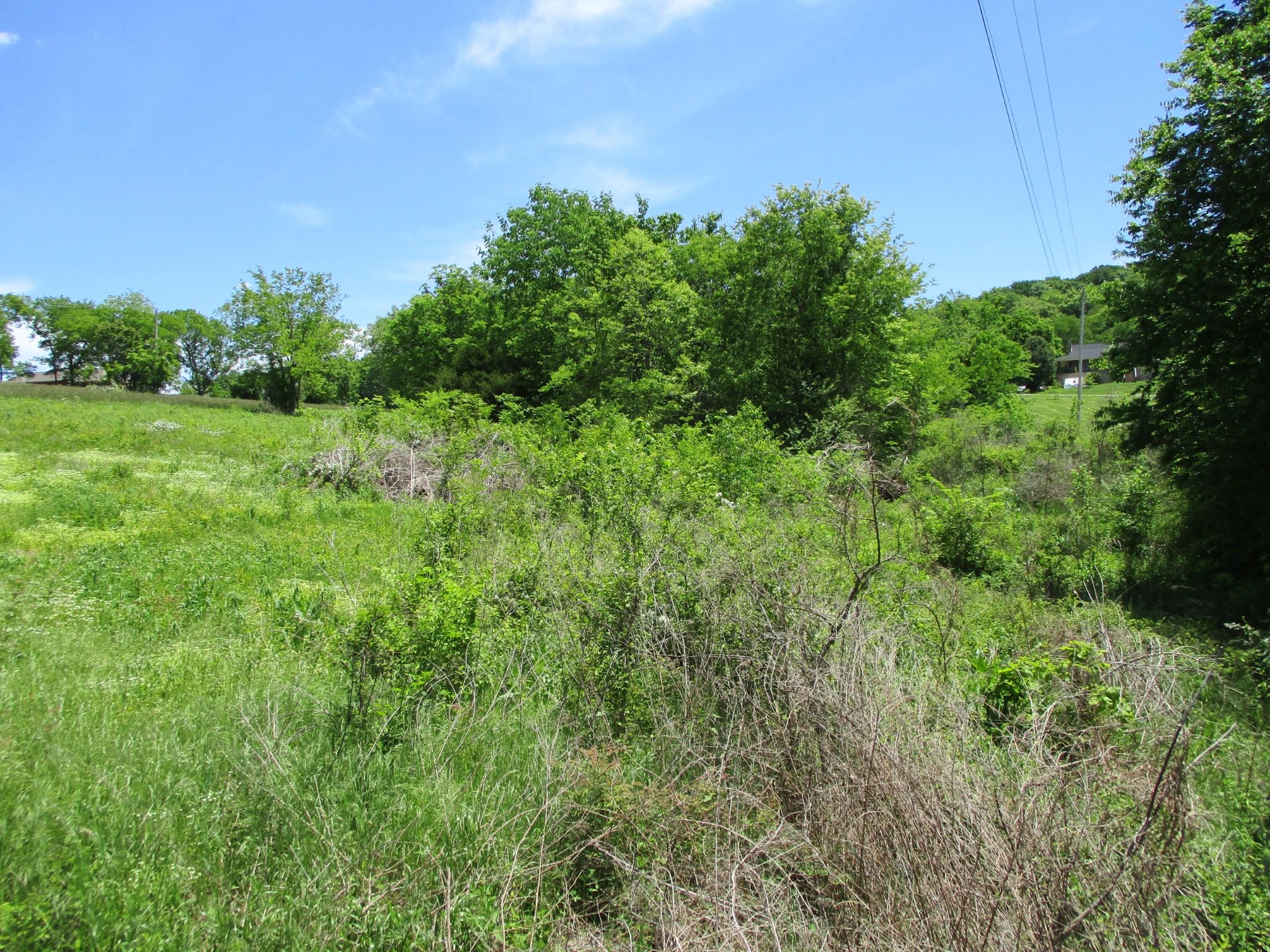 5 Shop Springs Road Watertown, TN 37184 - Photo 3 of 4 a view of a lush green space