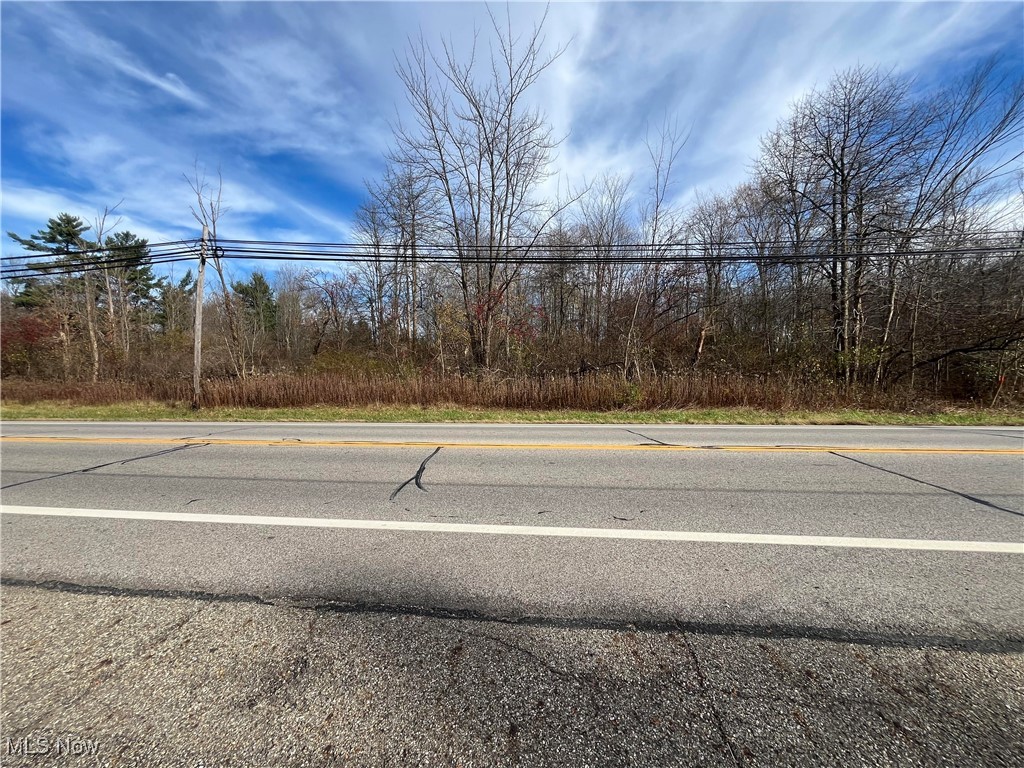 Chillicothe Road Chagrin Falls, OH 44023 - Photo 2 of 13 View of road