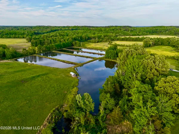 $521,750 | 1 County Road 204, Tiplersville, MS 38674