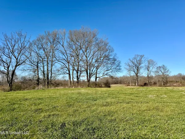$521,750 | 1 County Road 204, Tiplersville, MS 38674