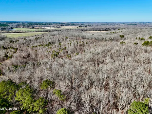 $521,750 | 1 County Road 204, Tiplersville, MS 38674