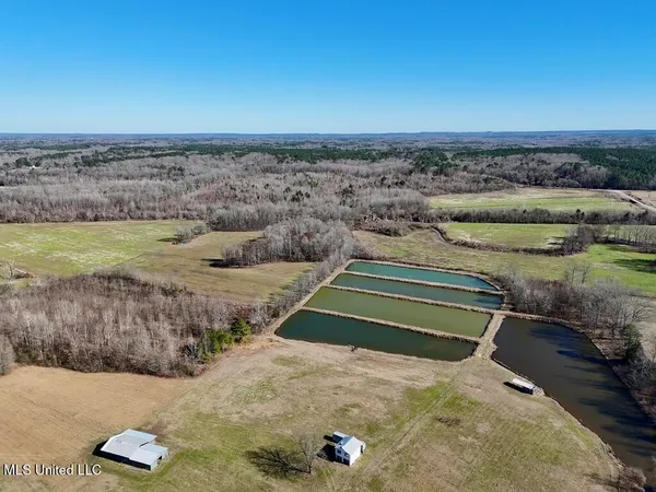 $521,750 | 1 County Road 204, Tiplersville, MS 38674